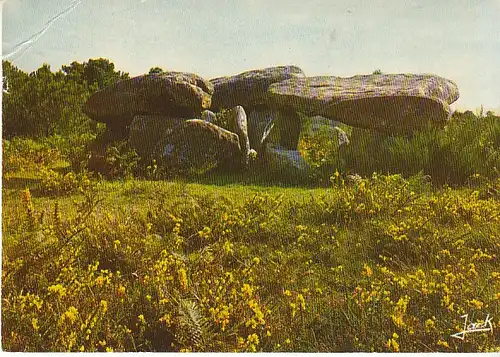 Bretagne Dolmens de Keriaval ngl C2915