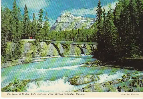 The Natural Bridge Yoho National Park B.C. ngl C2892