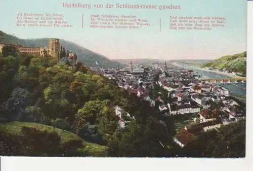 Heidelberg von der Schlossterrasse gesehen ngl 214.131