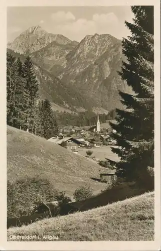 Oberstdorf Panorama mit Höfats gl1937 135.402