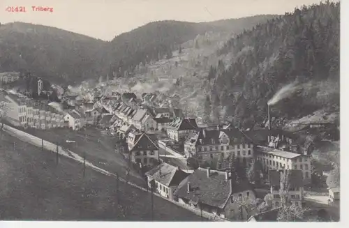 Triberg Panorama ngl 206.876