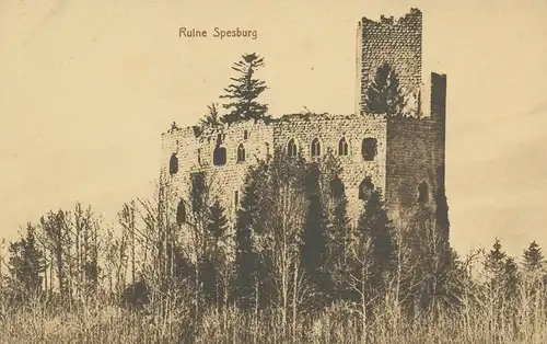 Ruine Spesburg in Spesbourg / Elsass ngl 135.952