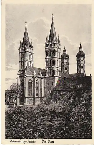 Naumburg/Saale Der Dom gl1957 C3292