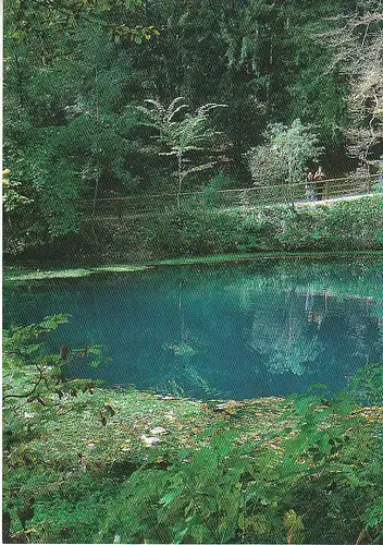 Blaubeuren Der Blautopf ngl C6884