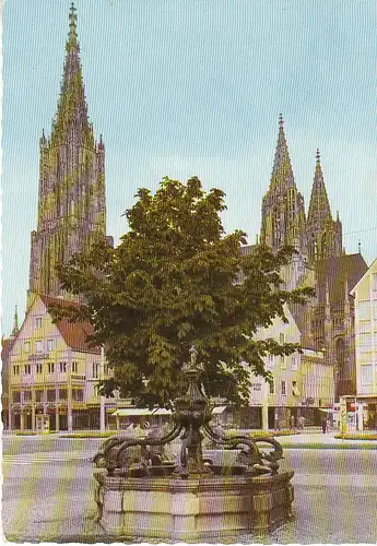 Ulm a.D. Delphinbrunnen mit Münster ngl C6904