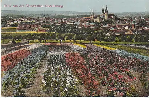 Gruß aus der Blumenstadt Quedlinburg gl1916 C3291