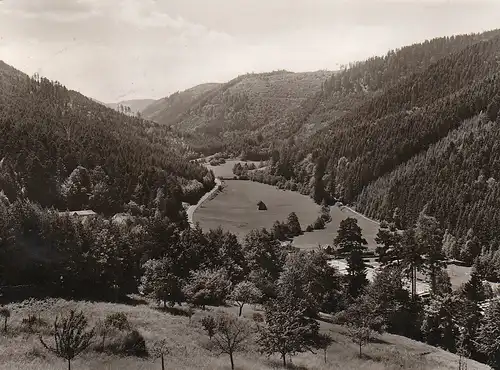 Calmbach Schwarzwald >>Enztal Freibad gl1968 C4359