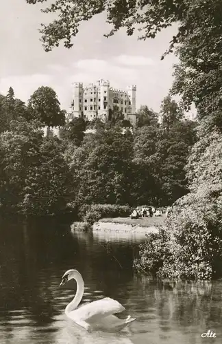 Schloss Hohenschwangau mit Alpsee gl1960 136.123