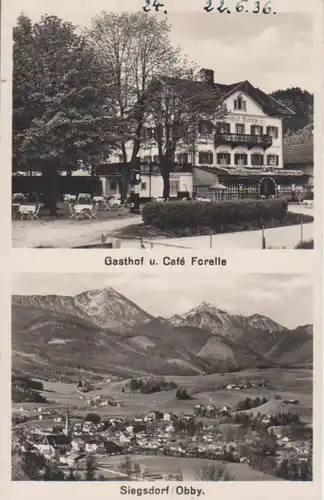 Siegsdorf/Obb. Gasthof Café Forelle Totale ngl 208.517