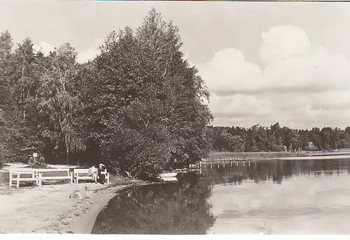 Magdeburg Springbrunnen vor Wohnblocks gl1967 C4431