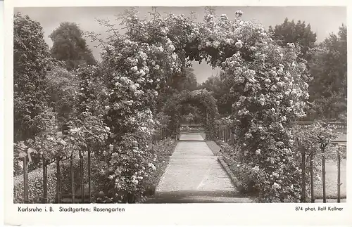 Karlsruhe Stadtgarten Rosengarten ngl C7793