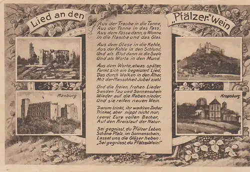 Lied an den Pfälzer Wein Mehrbildkarte ngl C4997