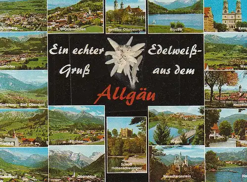 Echter Edelweiß-Gruß aus dem Allgäu ngl C4493