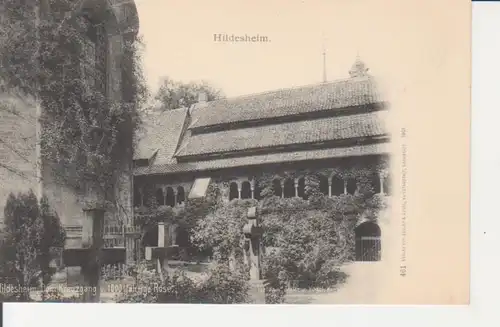 Hildesheim Dom Kreuzgang 1000 jähr. Rosenstock ngl 211.889
