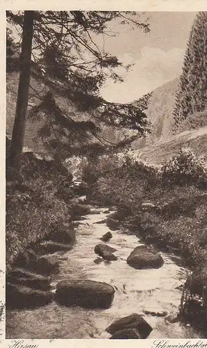 Das Schweinbachtal bei Hirsau Schwarzwald gl1931 C4984