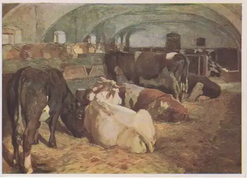 HDK 191 Willy Tag - Rinderstall ngl 212.017