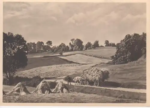 HDK 486 Aug. Ostermann - Erntezeit ngl 212.023