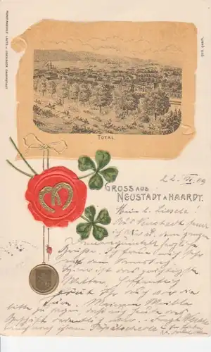 Neustadt a.d.W. Panorama Prägekarte gl1908 211.180