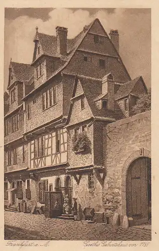 Franfurt a.Main Goethe s Geburtshaus ngl C5546