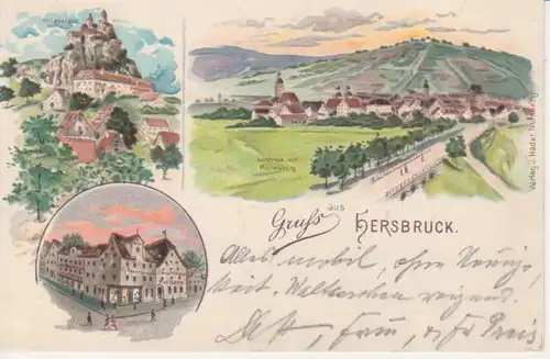 Hersbruck mit Michelsberg Litho gl1900 209.444