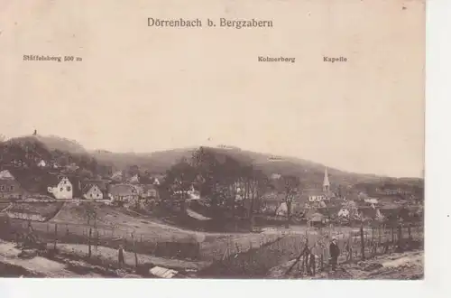 Dörrenbach bei Bergzabern Panorama gl1911 211.210