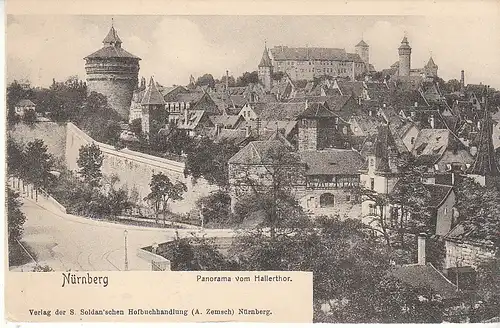 Nürnberg Panorama vom Hallertor um 1900 ngl C8948