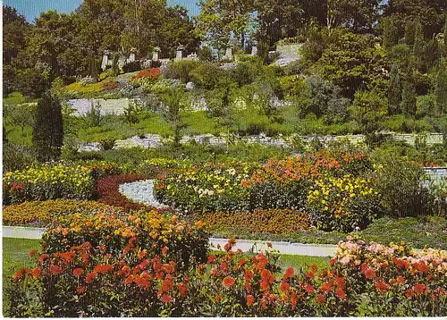 Insel Mainau i.Bodensee Dahliengarten m.Mediterranterrasse ngl C6024