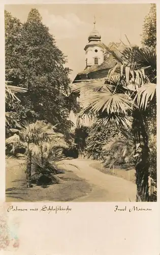 Insel Mainau Palmen mit Schlosskirche gl1954 137.091
