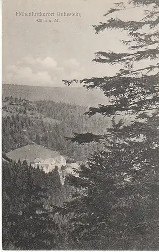 Höhenluftkurort Ruhestein bei Baiersbronn gl1913 C6056