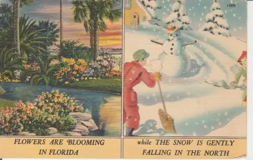 Florida with flowers, snow in the North gl1942 211.643