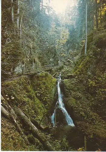 Partie in der Wutachschlucht im Schwarzwald ngl C6055