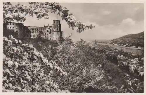 Heidelberg Das Schloss zur Blütezeit gl1938 214.122