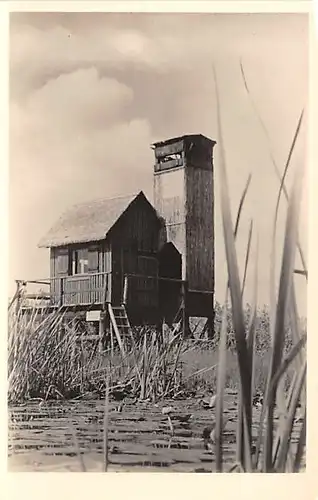 Außenstation Federsee der Vogelwarte Radolfzell ngl 140.853