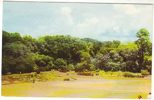 RI Bogor, a beautiful scene in the Botanical Garden gl1967 C5679