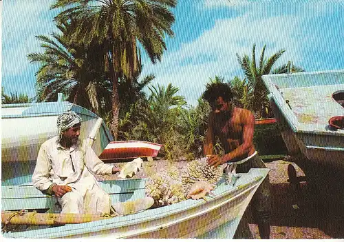 JOR Fishermen at Aqaba gl1976 C6298