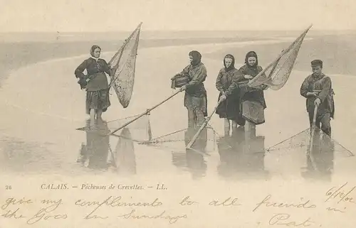 Angeln/Fischerei: Calais Pêcheuses de Crevettes gl1902 136.707