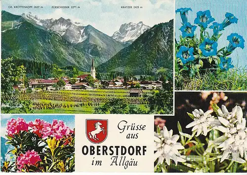 Grüße aus Oberstdorf Allgäu Mehrbildkarte ngl C6223