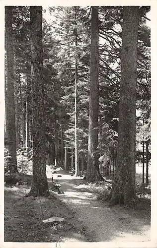 Königsfeld Doniswald gl1938 140.927