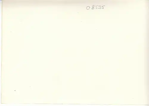 Obstbaum-Blüte ngl C8535