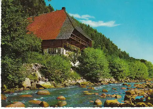 Schwarzwaldhaus bei Schiltach gl1966 C6552