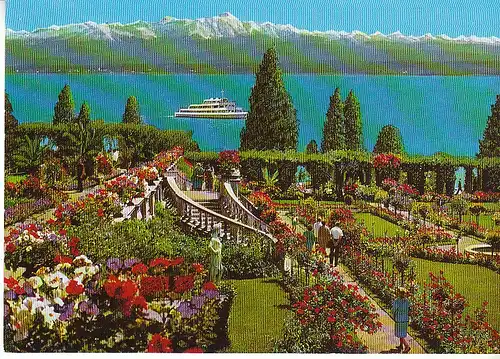 Insel Mainau i.Bodensee Rosengarten ngl C6020