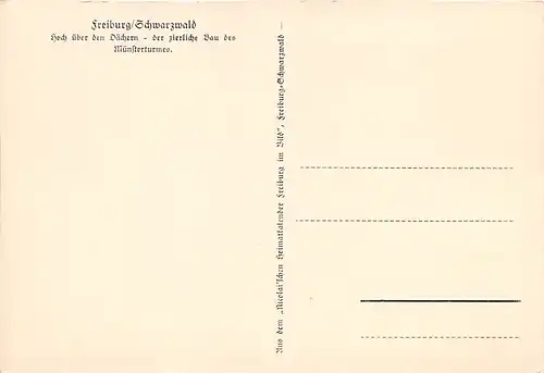 Freiburg im Breisgau Frühlingserwachen am Schlossberg ngl 141.077
