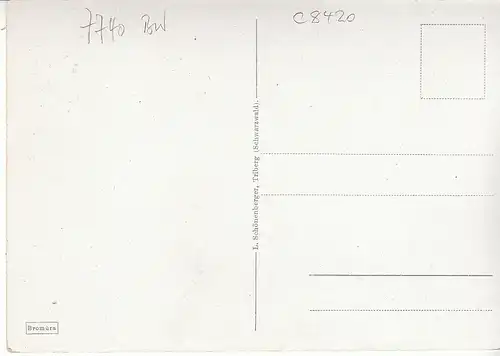 Triberg Schwarzwald vom Kroneckberg ngl C8420