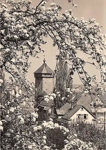 Reutlingen Teilansicht im Frühling ngl 142.473