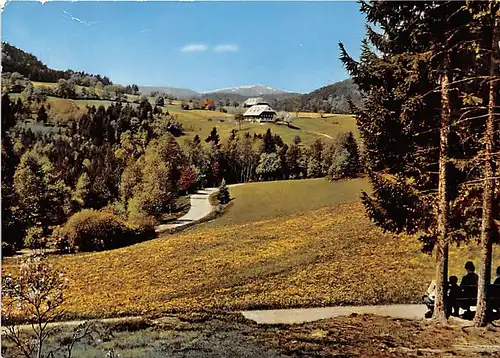 Hinterzarten Feldbergblick ngl 142.535