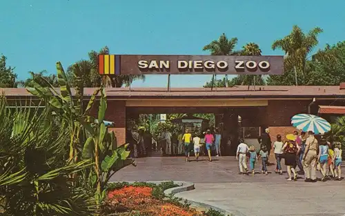 San Diego Zoo ngl 136.955