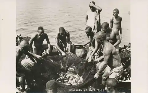 Angeln/Fischerei: Fishermen River Benue collecting the catch ngl 136.713