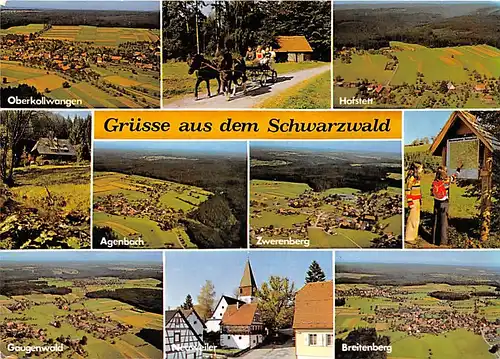 Gruß aus dem Schwarzwald Teilansichten gl1981 141.977