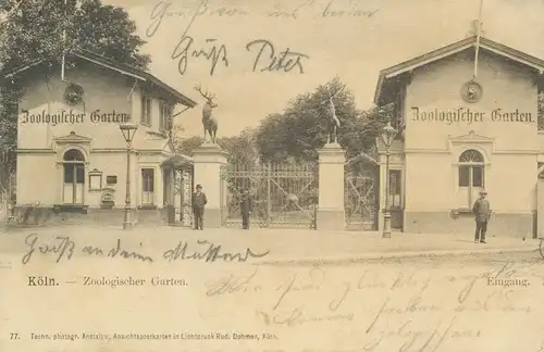 Köln a.Rh. Zoologischer Garten gl1905 136.944