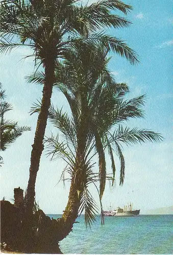 JOR Aqaba Beach gl1976 C6819